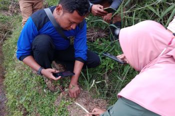 Seekor anjing di Matua Agam dimangsa harimau