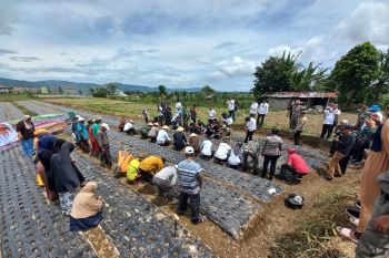 Bukittinggi mulai gerakan tanam bawang untuk kendalikan Inflasi daerah