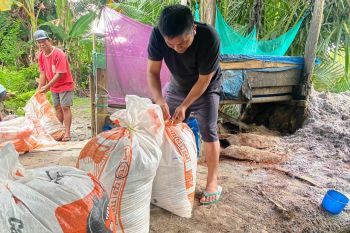 ASN Luwu Utara menyulap ampas sagu jadi pakan ikan