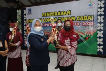 Bupati Sleman menyerahkan hadiah pemenang lomba tanam cabai antar-KWT