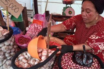 Kepala Disdag : Harga kebutuhan pokok di Makassar naik dipengaruhi banyak faktor