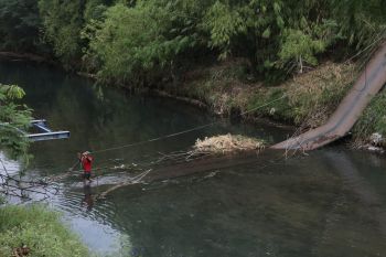 Jembatan gantung di Probolonggo putus karena kelebihan beban