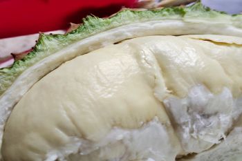Durian tinggi kolesterol ternyata mitos