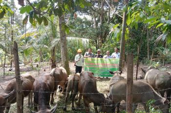PT Arara Abadi-APP Sinar Mas kembali lakukan program Desa Peduli Api di Kampar