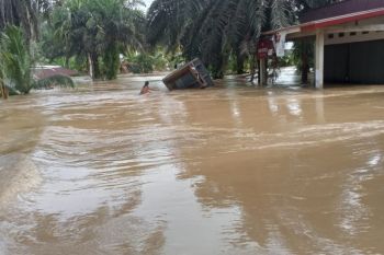 BPBD Mukomuko terpaksa ngutang ke warung untuk bantu korban banjir