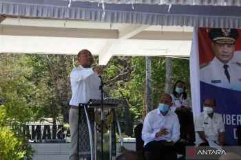 NTT bangun 1.000 hektare "ranch" sapi di Sumba Timur