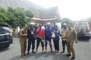 Petugas Damkar evakuasi ular dari kantor BKD Pemkab Bintan