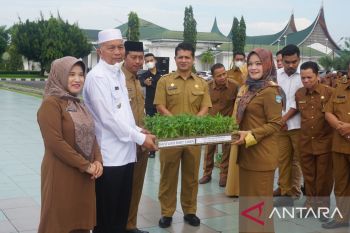 Upaya tekan inflasi, Pemkab Pasbar canangkan gerakan menanam cabai