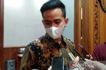 Gibran optimistis pembangunan Masjid Raya Sheikh Zayed segera selesai
