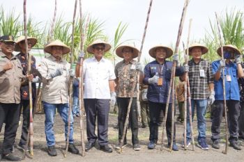 Perum Perhutani manfaatkan hutan untuk mewujudkan swasembada gula nasional