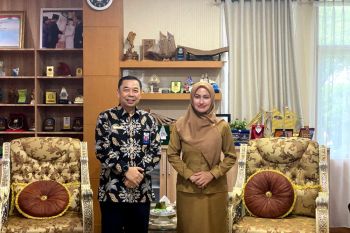 BPKP sampaikan hasil audit Pabrik Kelapa Sawit ke Bupati Luwu Utara