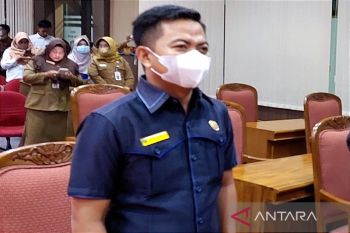 Fraksi Golkar dorong optimalisasi pelaksanaan APBD di akhir tahun