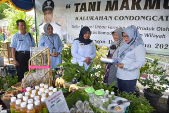 Bupati Sleman ajak  KWT dan petani milenial  kembangkan "urban farming"