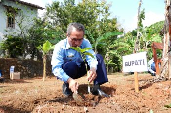 Pemkab Bantul kembangkan wilayah Selopamioro sebagai kawasan food estate
