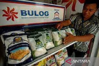 Bulog Baubau sebut stok gula pasir mencapai 40 ton