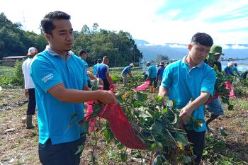 Pemkab Agam bersihkan Danau Maninjau dari pencemaran enceng gondok dan limbah (Video)