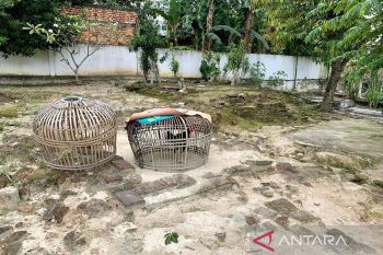 Kondisi Candi Solok Sipin Jambi