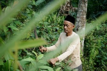 Perjuangan Mad Tarip di Pelosok Pandeglang, wujudkan generasi Islam gemilang