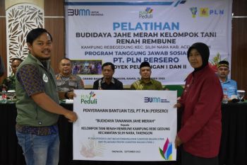 PT PLN latih petani di Aceh Tengah budidaya jahe merah