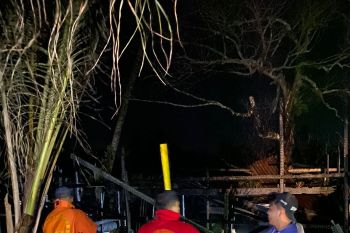 Kandang ternak milik guru SLB Agam terbakar, sembilan ekor sapi mati terbakar