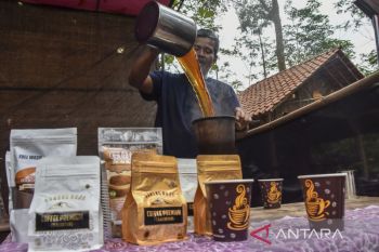 Festival Coffee Rajadesa