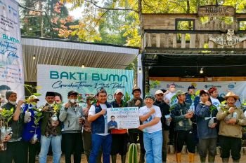 Jasa Raharja hijaukan seluruh Indonesia dengan 20.000 pohon