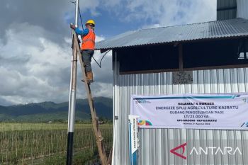 Kehadiran PLN Lewat Stasiun Pengisian Listrik Umum Bikin Hemat Usaha Penggilingan Padi di Pulau Seram