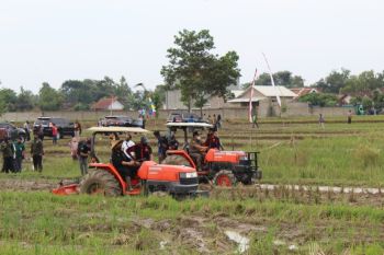 Pemprov Lampung awasi pasokan BBM bagi petani