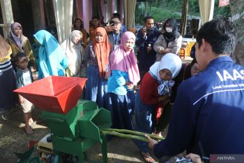 Pembuatan pewarna batik alami