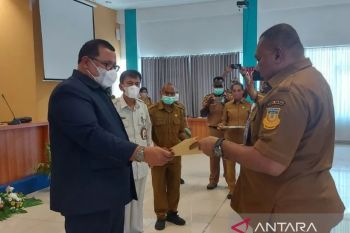 243 tenaga honorer K2 pemprov Papua masih verifikasi data