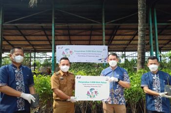 BAF serahkan ribuan bibit pohon jalankan program pelestarian lingkungan di Palembang