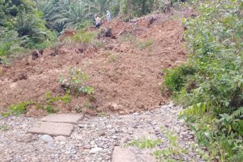 Dua truk bermuatan sawit di Mukomuko tertimbun longsor