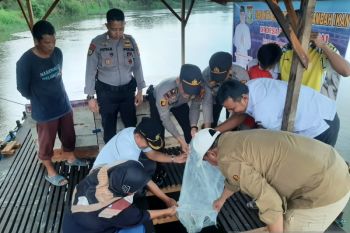 Antisipasi judi online, 5.000 bibit ikan lomak ditabur di keramba Desa Pulau Permai