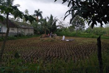 DPRD Lombok Tengah sebut Eksekutif perlu menaikkan NJOP