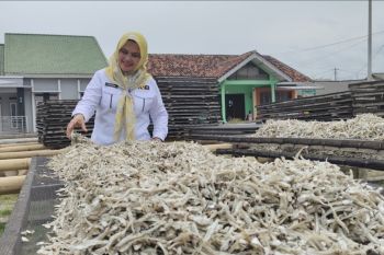 Diversifikasi olahan jadi solusi tingkatkan konsumsi ikan