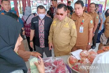 Masyarakat Kotim diajak bantu tekan inflasi dengan menanam hortikultura