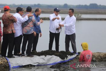 Kunjungan kerja Menteri Koperasi dan UKM di kampung nelayan