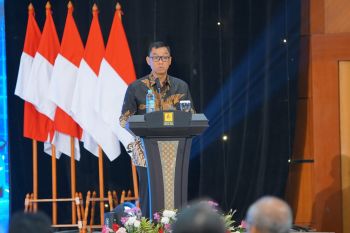 Holding PLN dengan 4 sub-holding baru diumumkan Menteri BUMN