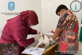 Dinpanpertan Bangka buka layanan vaksin rabies gratis