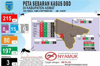 Kemenkes membantu Dinkes Asmat alat diagnosis DBD