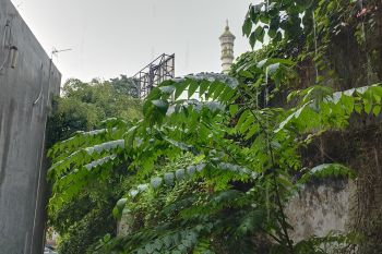 BPBD Bandarlampung minta warga waspadai cuaca ekstrem