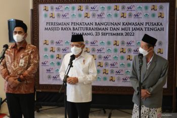 Government officials must abide by national laws: VP Amin