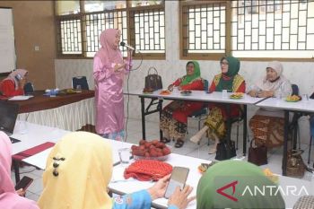 Pemkot Padang Panjang gandeng Bundo Kanduang atasi kekerasan seksual terhadap anak