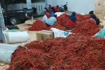 Pemprov Kepri datangkan satu ton cabai dari Jawa Tengah untuk tekan inflasi