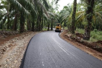Trans Lubuk Ubai tambah panjang jalan berkondisi baik di Pesisir Selatan