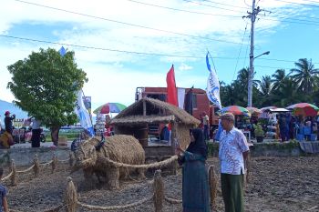 Sejumlah pengunjung manfaatkan hiasan jerami untuk berfoto di acara Rang Solok Baralek Gadang