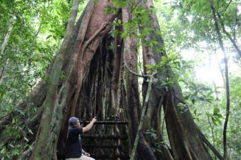 Petani berperan penting jaga hutan tetap lestari