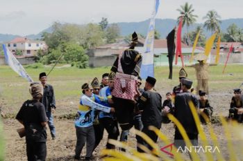 Pengunjung nikmati pertunjukan orang-orangan sawah