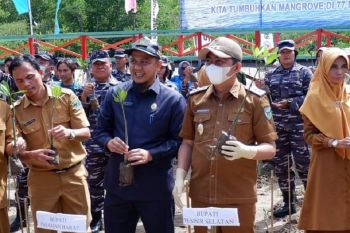 Pemkab Pessel tanam mangrove di Pantai Majunto