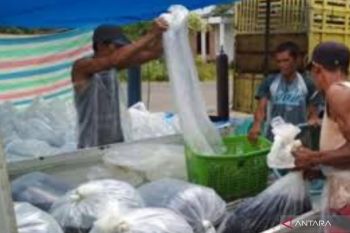 Produksi ikan di Agam capai 22.696 ton selama enam bulan